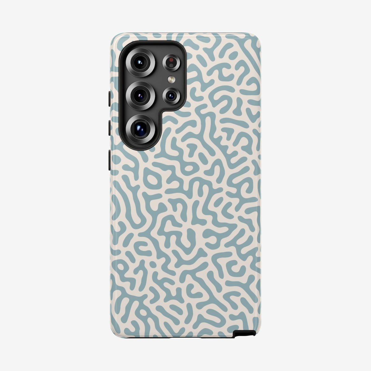 Coral Maze