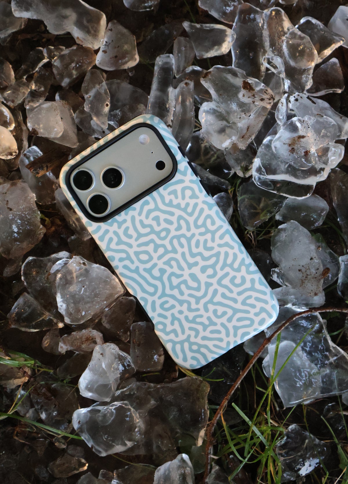 Coral Maze