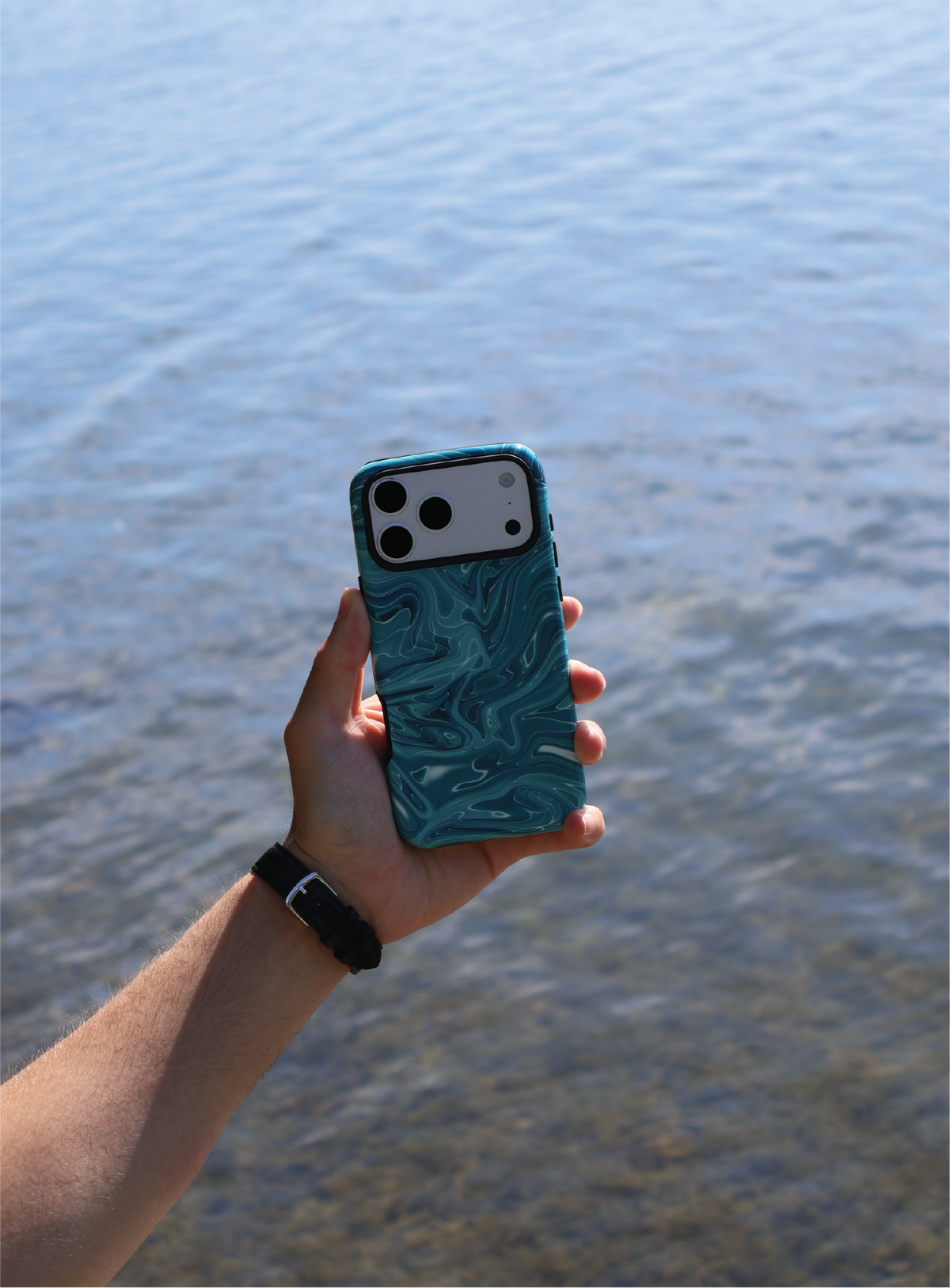 Marbled Teal