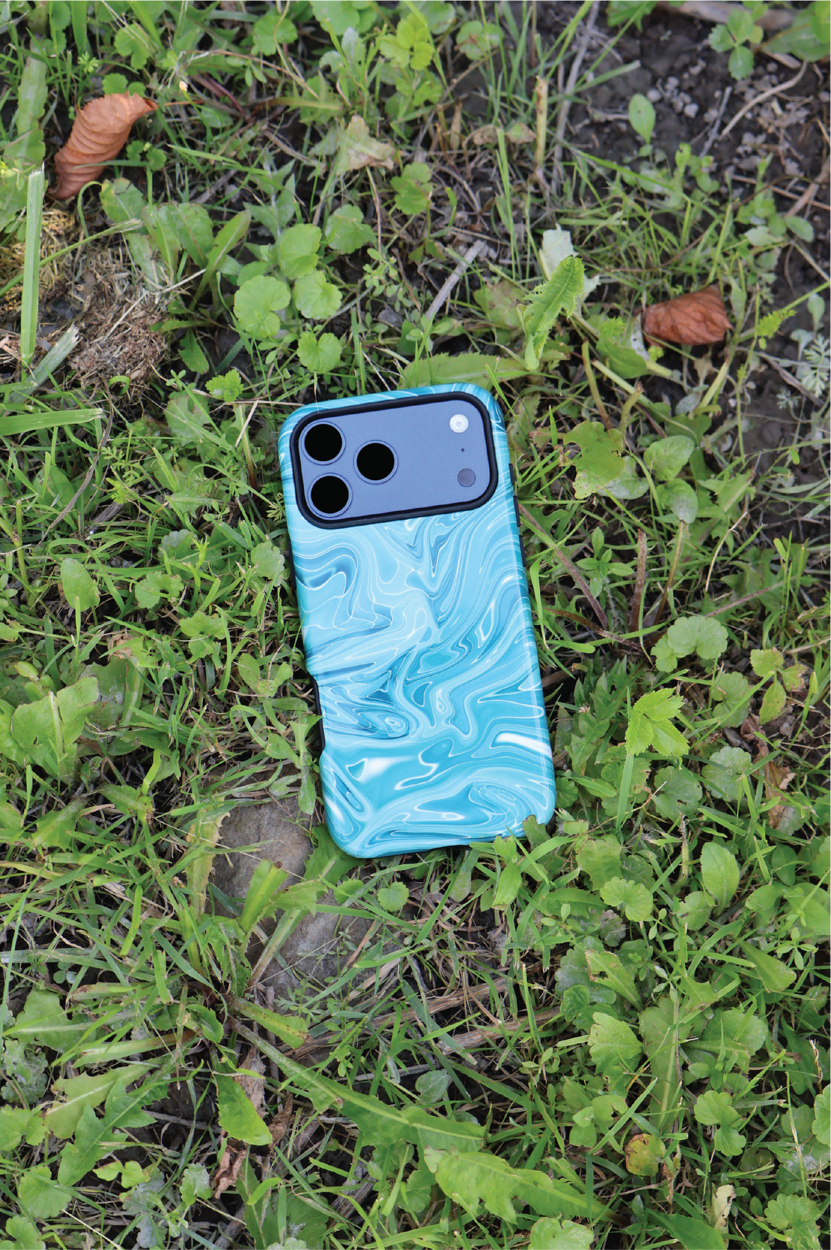Marbled Teal